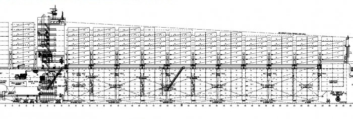 Container - Capnut Shipping